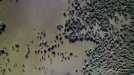 marshlands of lago di montepulciano nature reserve in central italy