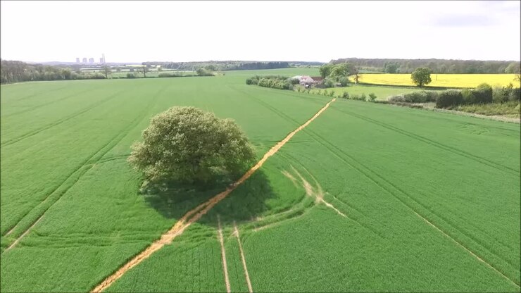 Solo una delle decine di migliaia di vedute della splendida campagna britannica apprezzata da milioni di persone in qualsiasi stagione.