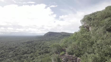 Verdant-And-Extensive-Landscape-Of-Amazon-Region,-Colombia-Within-Serranía-De-La-Lindosa--Cerro-Pinturas-Location