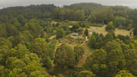 smooth aerial decent and orbit around botanical garden covering on hillside