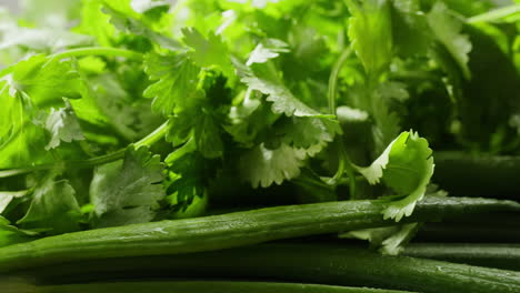 fresh coriander and green onions