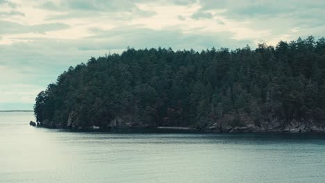 dense forest island atop rocky shoreline