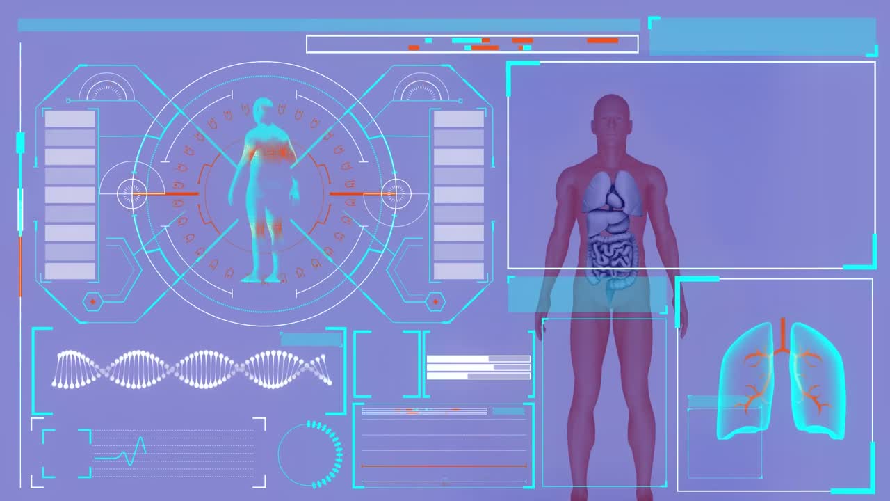 animación de la interfaz digital sobre el modelo del cuerpo humano