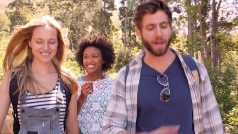 friends talking as they walk through a forest, front view