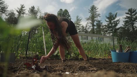 sliding shot of woman planting seeds in garden