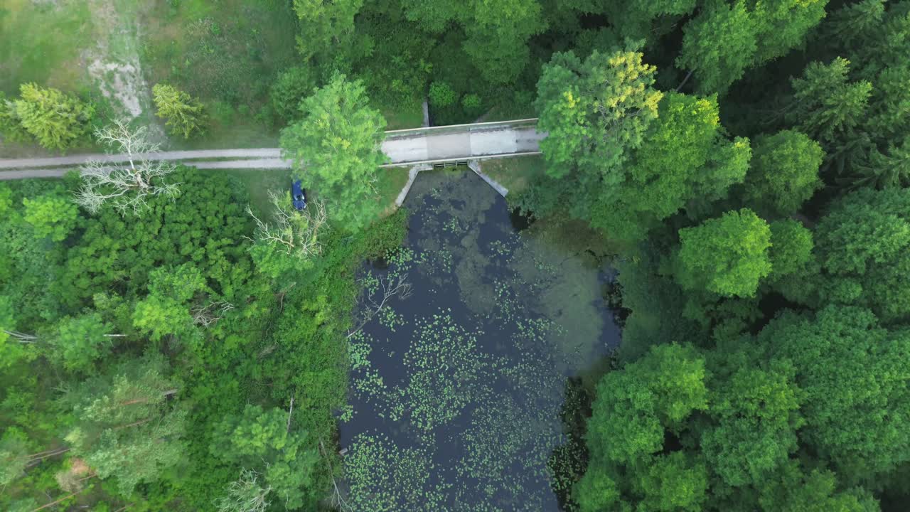 Un drone survole un lac européen baigné par l'aube, capturant le lagon tranquille, la forêt luxuriante et un barrage d'eau saisissant – une vue imprenable du ciel, à vol d'oiseau, révélant la symphonie de la nature.