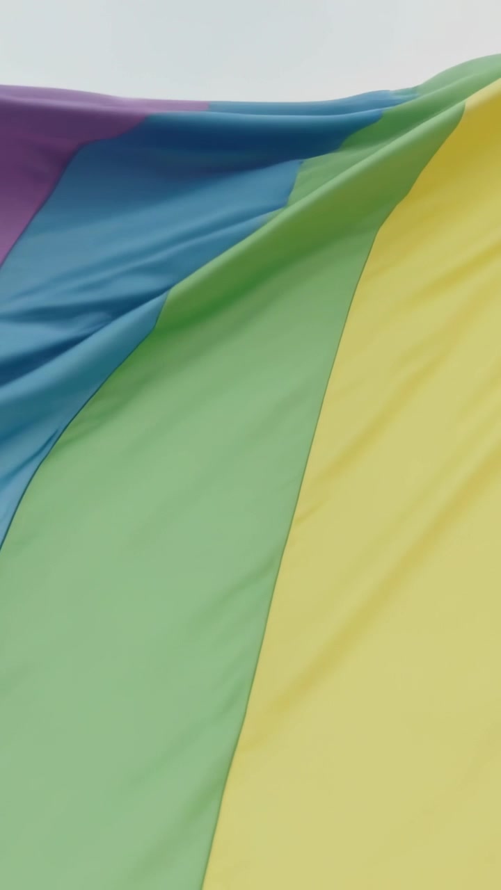 Vertikal video: Flag i mange farver blafrer under bleg himmel, vind afslører sømme og bånd