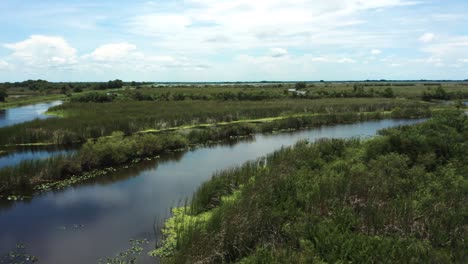 aerial view of a lush river and marsh landscape