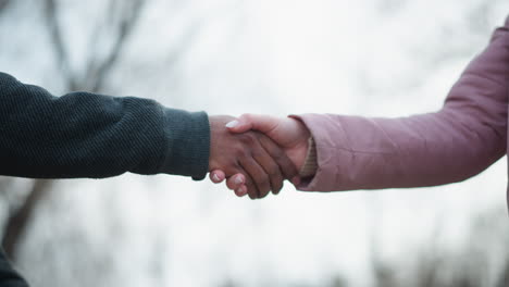 two people extending hands towards each other for handshake outdoors, one in dark textured hoodie and other in pink winter jacket, symbolizing upcoming greeting, cooperation, agreement, in park setting
