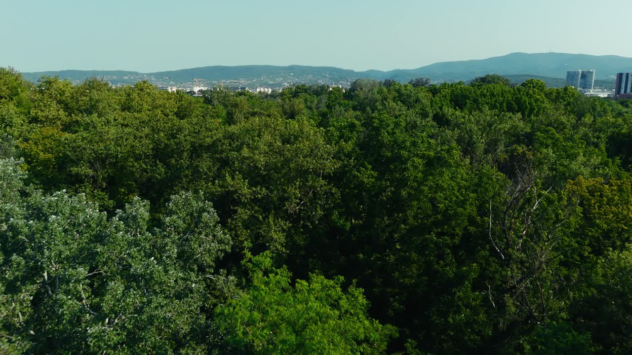 lush summer treetops with Zagreb skyline and hills in the distance