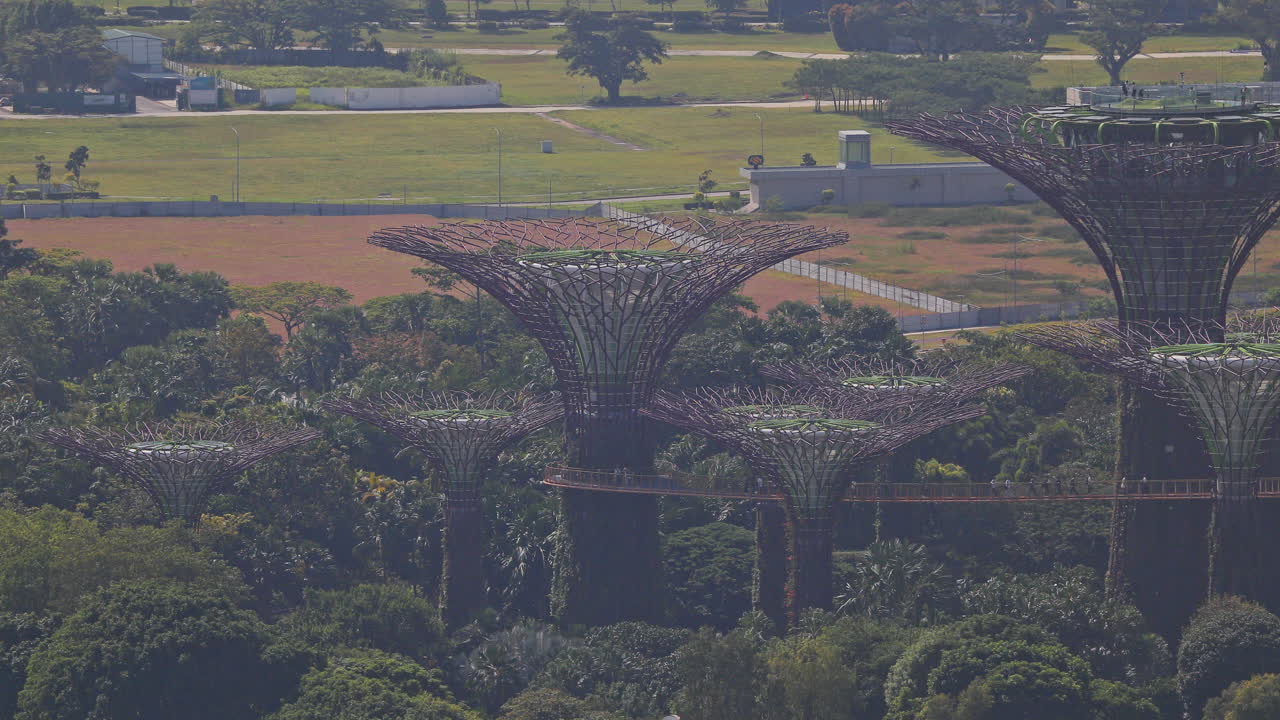 timelapse zoomed into the gardens by the bay in singapore