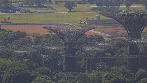 timelapse zoomed into the gardens by the bay in singapore
