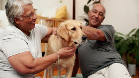 an elderly couple lovingly pets their golden retriever