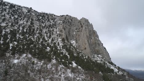 snowy mountain peak with forest