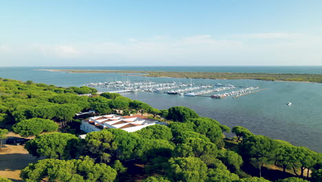 Barcos-Amarrados-En-El-Puerto-Deportivo-Nuevo-Portil-Por-El-Río-Piedra-Desde-El-Lugar-De-La-Boda-Rodeado-De-árboles-Verdes-En-El-Rompido,-Huelva,-España