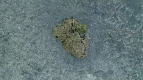 Top-Down-Slow-Motion-Drone-View-of-Waves-crashing-over-shallow-coral-reef-and-big-rock-in-Uluwatu-Bali-Indonesia