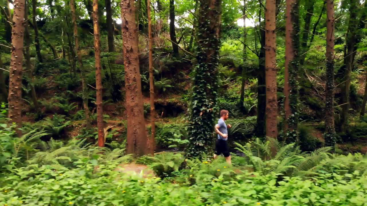 hombre corriendo en el bosque 4k