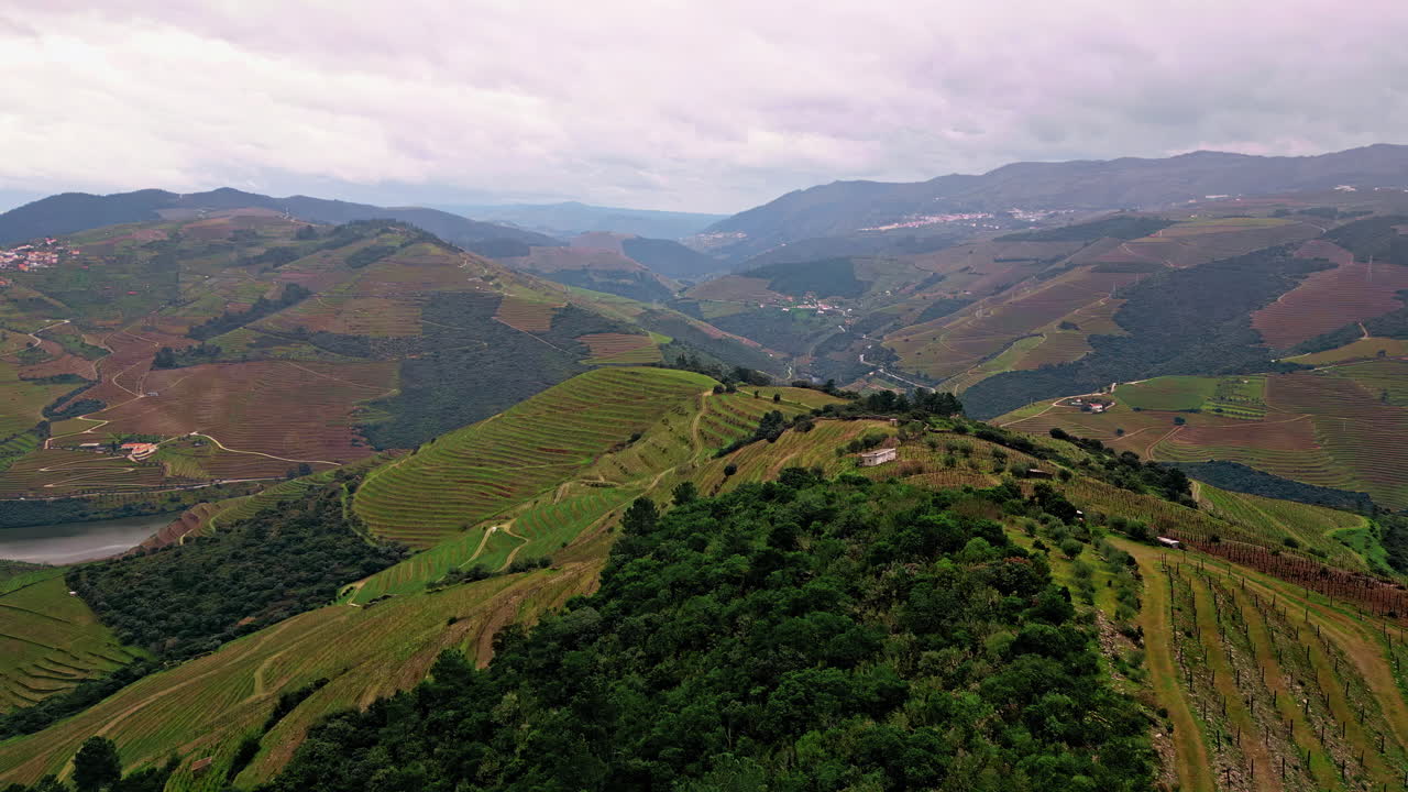 Ripresa aerea di un paesaggio con pendii verdi e nuvolosi. Terrazzamenti agricoli che si estendono sulle colline.