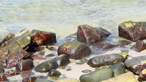 waves gently crash over red algae-covered rocks on a sunny phuket shoreline, creating a dynamic and serene coastal scene