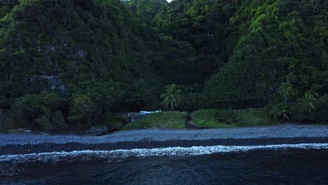 the rocky shore and forested landscape of east maui, hawaii, unfolds beneath a drone’s lens, revealing a rich tapestry of towering trees, dense foliage, and the serene beauty of nature from above