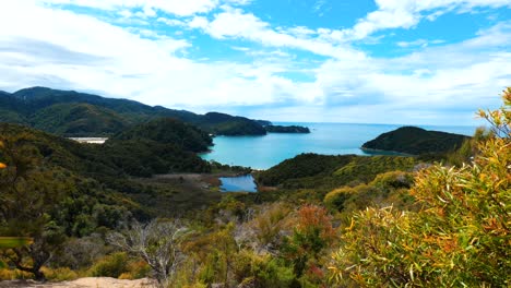 Una-Vista-Panorámica-Que-Captura-La-Serena-Belleza-De-Una-Bahía-En-El-Parque-Nacional-Abel-Tasman,-Donde-La-Naturaleza-Se-Despliega-En-Un-Impresionante-Esplendor-Costero