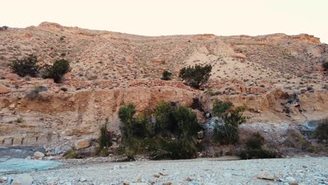 a river in the middle of the sahara desert algeria biskra