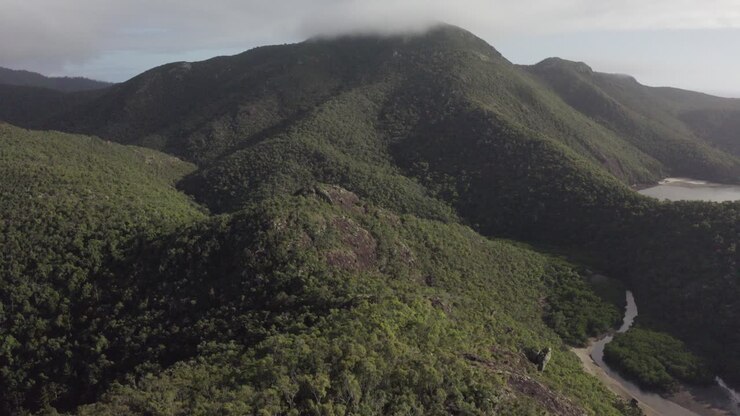 Veduta aerea delle lussureggianti montagne verdi e della costa