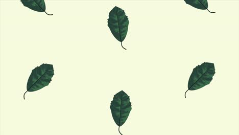 patrón de animación de ecología de hojas en fondo verde
