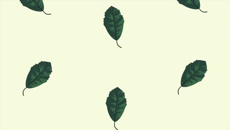 leafs ecology animation pattern in green background