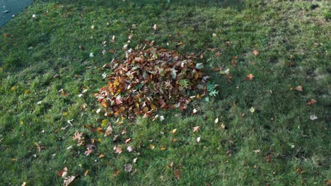 spin and rise over a pile of leaves in late autumn