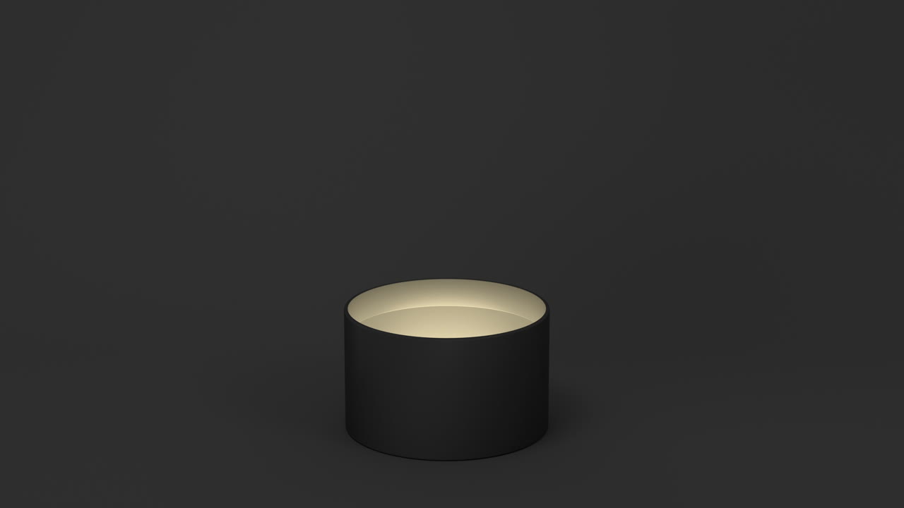 abre la caja actual, la representación en 3d.