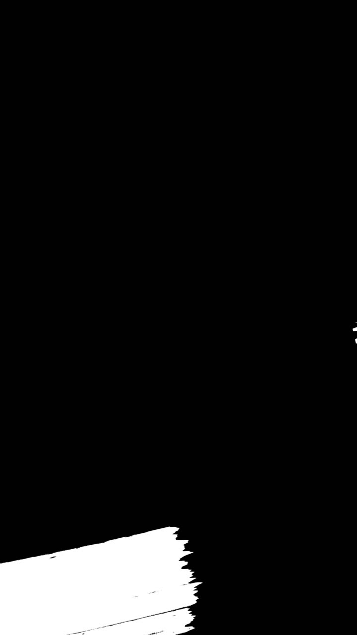 Transizione animata con pennellata in bianco e nero.