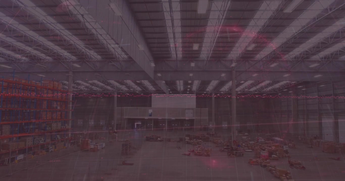 Animation of financial data processing over warehouse