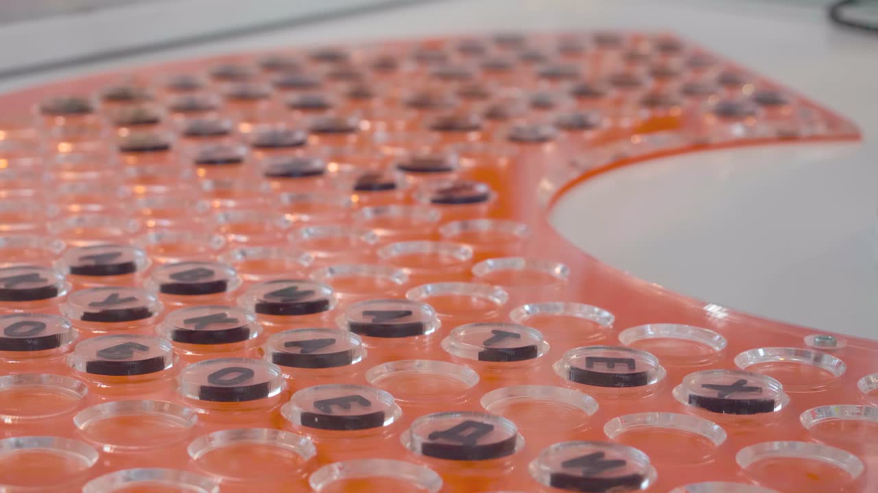 오렌지색 글자를 가진 아크릴 디스플레이