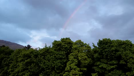 4k aerial drone footage rising up above trees with rainbow appearing above water in scottish highlands scotland