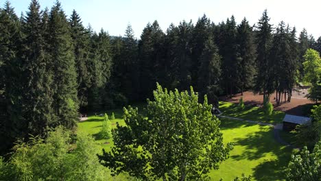 scenic drone flight captures the natural beauty of robinswood park on a sunny day