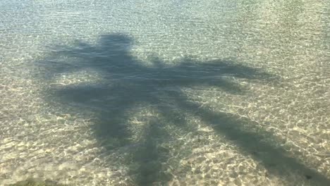 Tropical-palm-tree-casting-a-silhouette-like-shadow-onto-a-shallow-white-sand-beach-creating-a-cool,-relaxing,-tropical-vibes-type-scenery