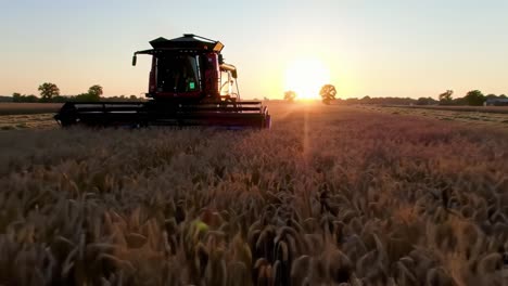 a beautiful sunrise over golden wheat fields as a harvester methodically cuts through ripened crops in an agricultural landscape, illuminating the morning sky with warm light