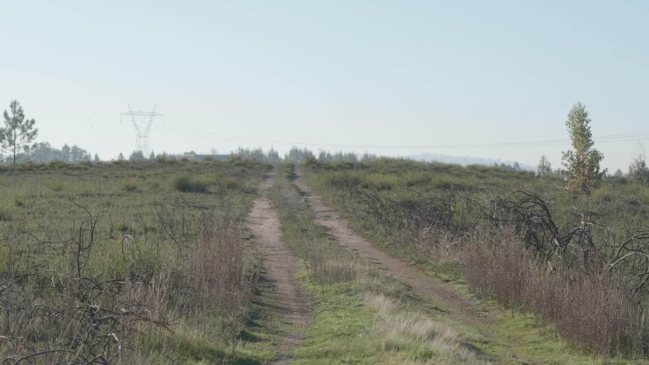 camino en medio de la nada