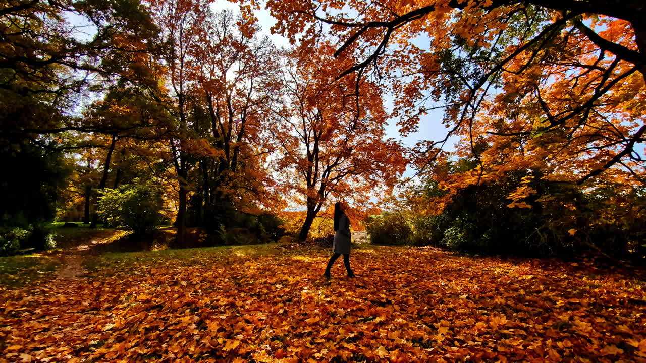 Profile view of woman in middle of a forest enjoying view of autumn season with ground covered with golden-brown fallen leaves