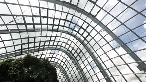 Looking-Up-Inside-Glass-Dome-Of-Cloud-Forest-At-Gardens-By-The-Bay-In-Singapore