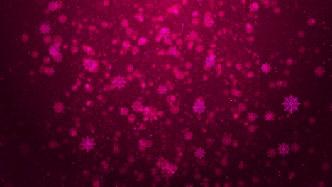 elegant animation pink snowflakes across deep magenta background magical winter ambiance for festive
