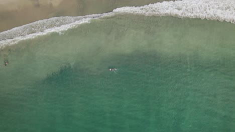 Aerial-view-capturing-a-couple-snorkelling-in-the-beauty-of-Tobago's-white-sand-and-crystal-clear-waters-in-the-Caribbean