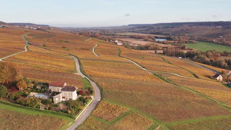 Drone-Aéreo-Atardecer-Sobrevuelo-Viñedos-Cerca-De-Épernay-Francia-Otoño