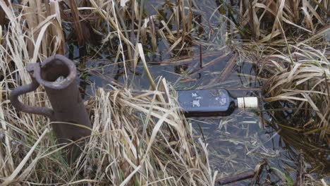 discarded bottle in wetland
