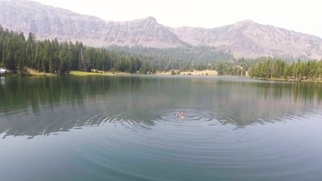 Drohne-Fliegt-über-Frau,-Die-Im-See-Schwimmt