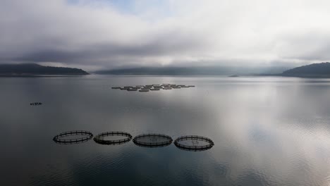 fish industry and trout fish farm with circle cages in mountain lake