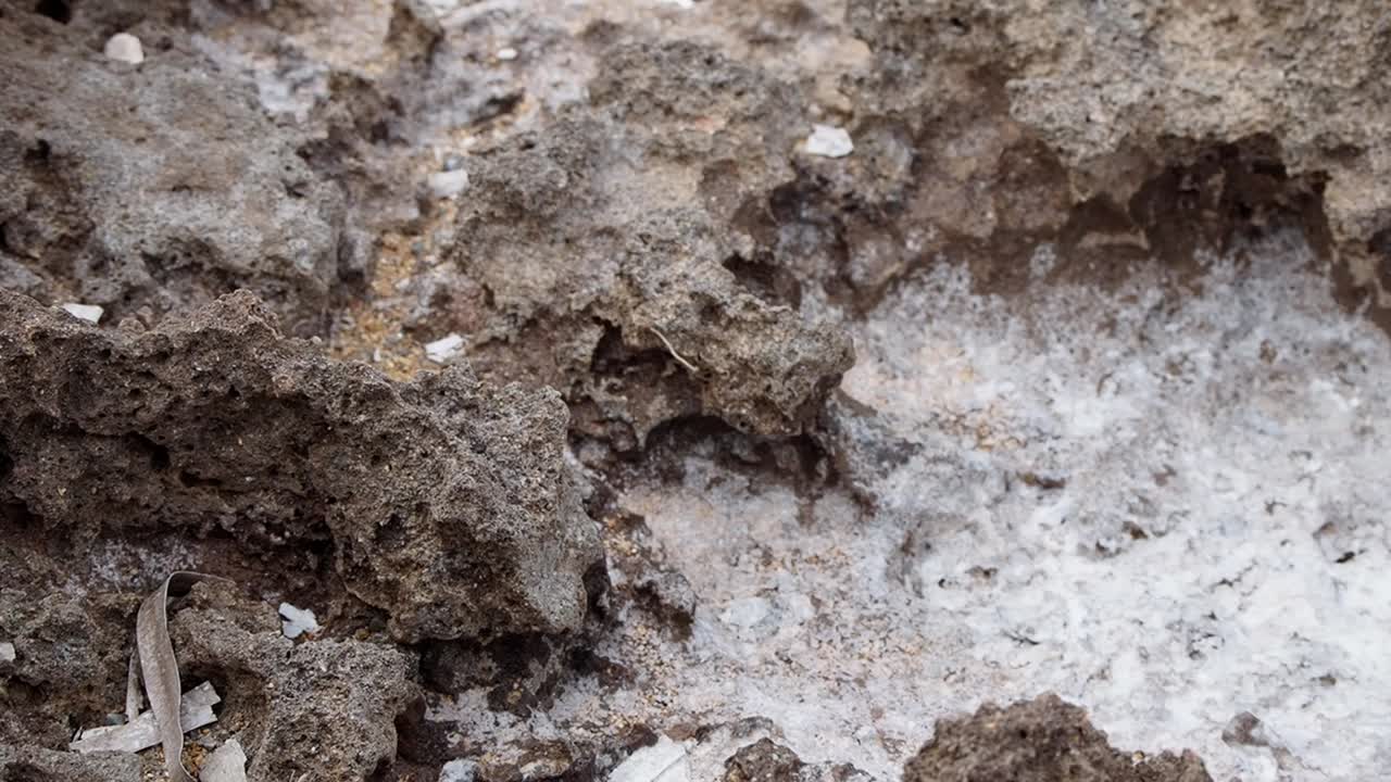 Cracked sea salt formations in Menorca, revealing white crystallized salt patterns