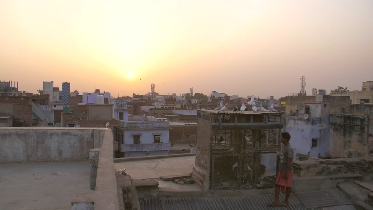 Doves Settle on Indian Rooftop,