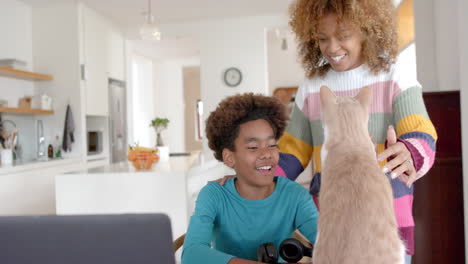 happy african american mother and son petting their cat and using laptop in kitchen, slow motion